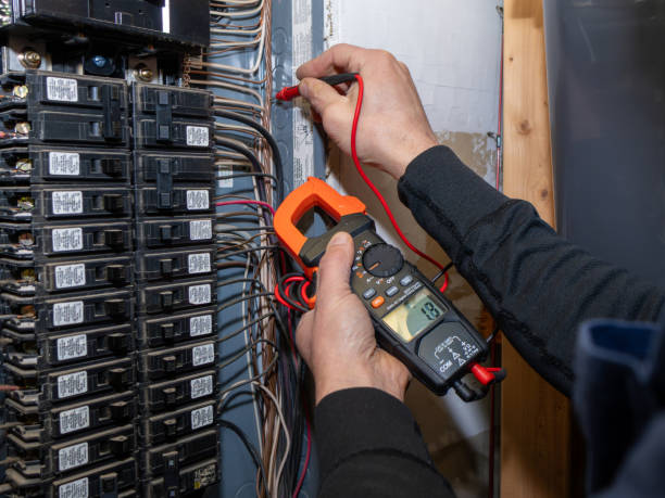 Best Local Electrician Companies  in Rose Valley, PA